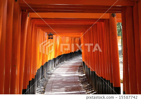 Torii of Fushimi Inari 15587742