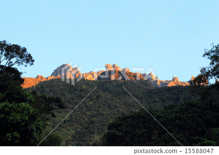 婆羅洲·京那巴魯山 15588047