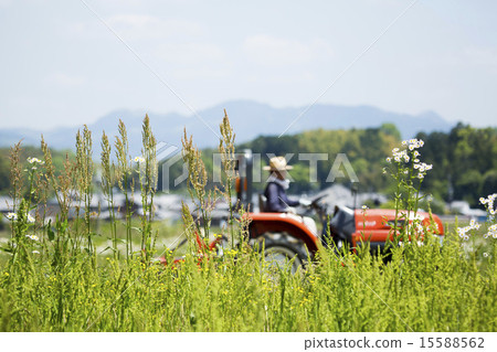 Agricultural land cultivated with a cultivator Agricultural land cultivated with a cultivator 15588562