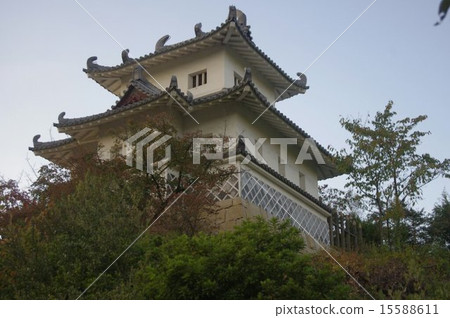 愛媛的Innoshima Najutsu城堡 15588611