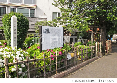 Ishii Kondo的出生地 15588820