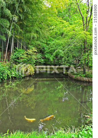 Mushya-choji Megumi Park in Chofu city Mushya-choji Megumi Park in Chofu city 15588900