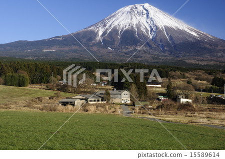 農場和富士山/靜岡縣富士宮市 15589614