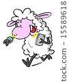 Sheep with smart watch and phone 15589618