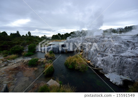 Spring springs 15591549