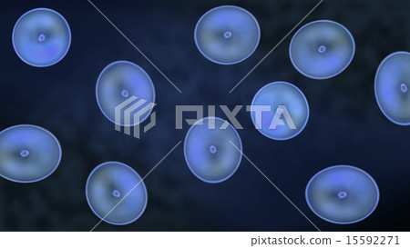 blue color of cells 15592271