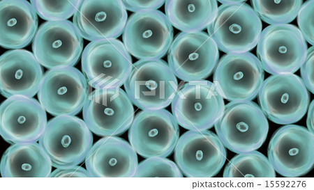 cells arrange green cells arrange green 15592276