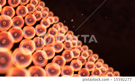 cells arrange to wall close up cells arrange to wall close up 15592277