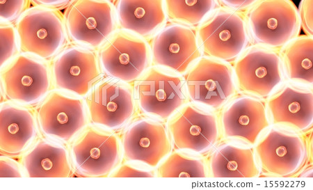 cells large size all glow cells large size all glow 15592279