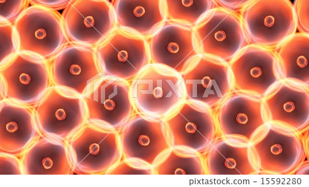 cells large size center glow cells large size center glow 15592280