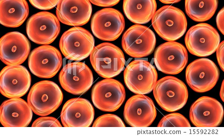 cells group cells group 15592282