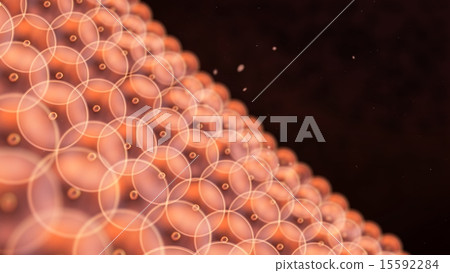 circle cells arrange to wall close up circle cells arrange to wall close up 15592284