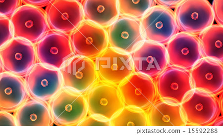 color cells large size color cells large size 15592288