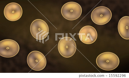 gold color of cells gold color of cells 15592296
