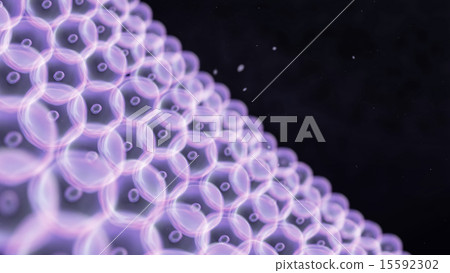 purple cells circle arrange to wall purple cells circle arrange to wall 15592302