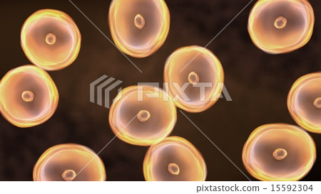 yellow color of cells 15592304