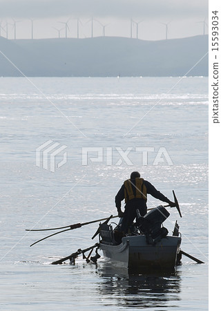 海帶釣魚 15593034