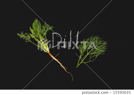 dill vegetable ingredient nature green blackboard dill vegetable ingredient nature green blackboard 15593035