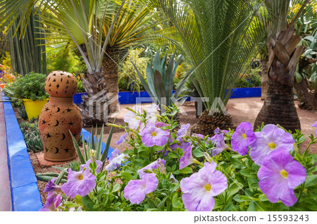 馬洛卡花園3 15593243