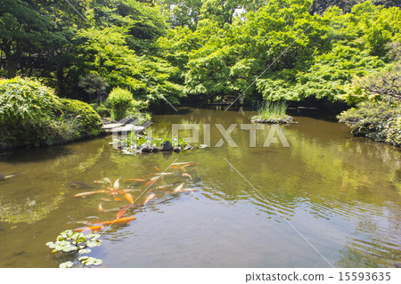 新大谷酒店的日本花園 15593635