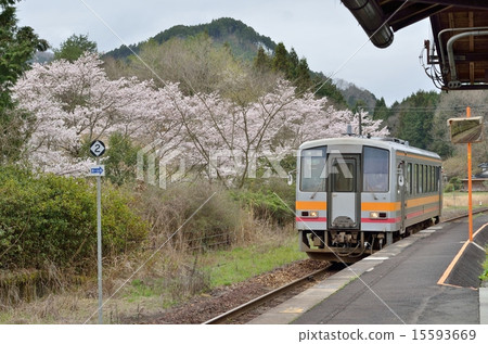 春天美容站 春天美容站 15593669