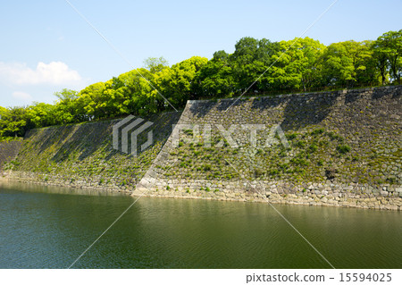 新鮮的綠色大阪城西護城河外 15594025