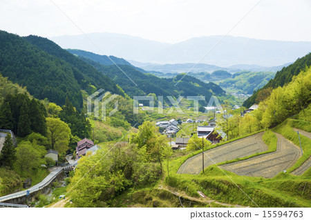 Countryside scenery of Asuka village, Nara prefecture Countryside scenery of Asuka village, Nara prefecture 15594763