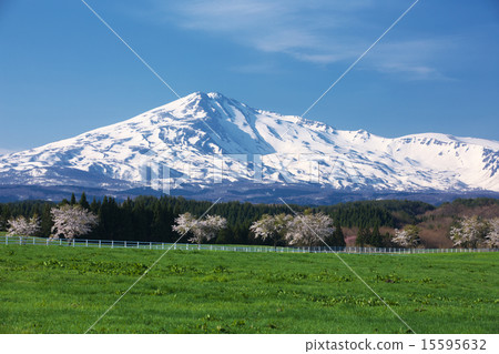 Yuri Akita Honjo City Yuri Takahara Fureai ranch 15595632