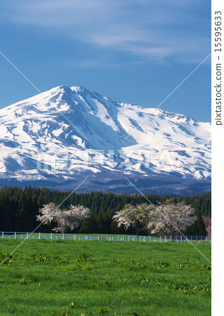 Yuri Akita Honjo City Yuri Takahara Fureai ranch 15595633