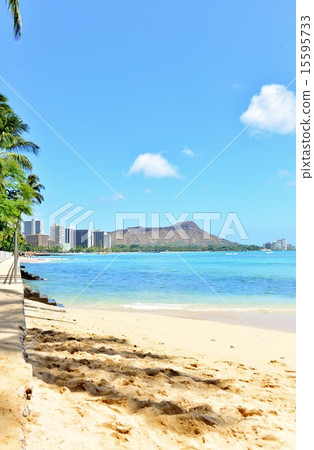 夏威夷的假期 夏威夷的假期 15595733