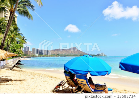 夏威夷的假期 夏威夷的假期 15595734