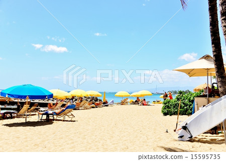 夏威夷的假期 夏威夷的假期 15595735