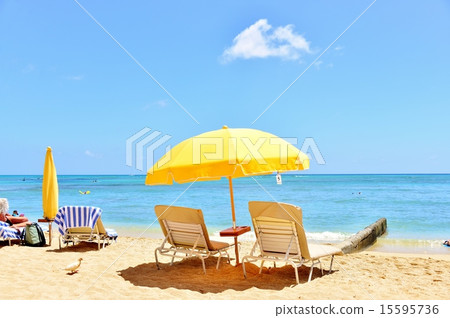 夏威夷的假期 夏威夷的假期 15595736