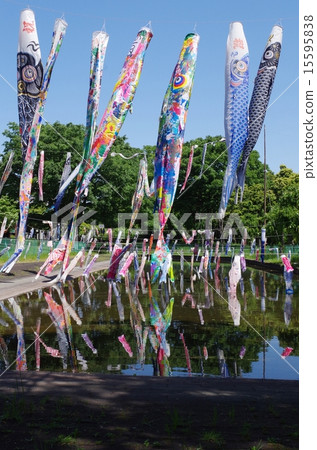 公園的鯉魚 15595838