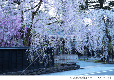 秋田仙北市角館 15595951