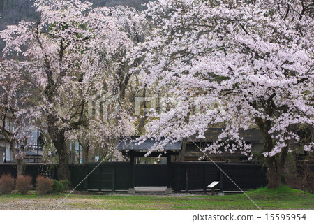秋田仙北市角館 秋田仙北市角館 15595954
