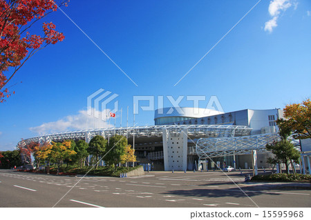 大調色板 大調色板 15595968