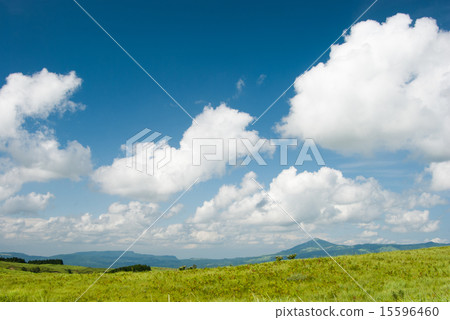 風吹過草地 15596460