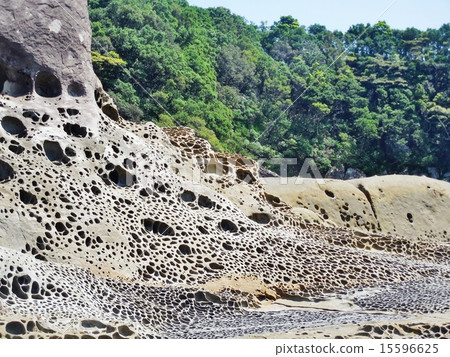 偷偷摸摸的海岸 15596625
