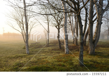 早上公園 早上公園 15597211