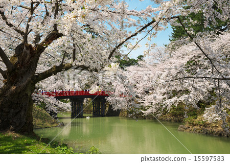 Hirosaki Castle Hirosaki Aomori Hirosaki Castle Hirosaki Aomori 15597583