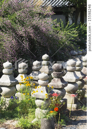 Geneohwa Autumn scenery 15598246