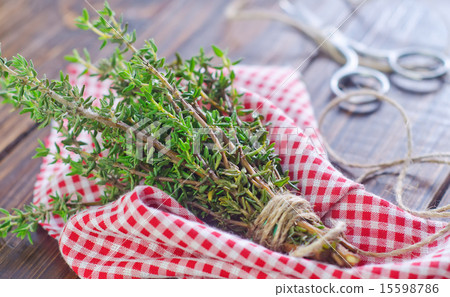 thyme thyme 15598786