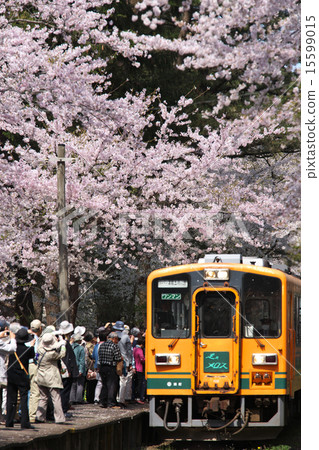 Aomori Goshogawara shi Ashino Park 15599015