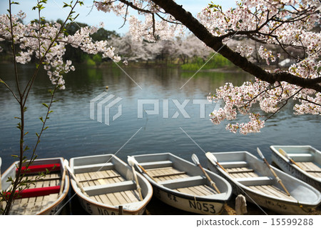 青森五所川原市Ashino Park 青森五所川原市Ashino Park 15599288