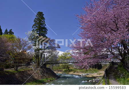 Suspension bridge of Otto 15599583