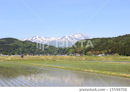 余雪的鳥海山 15599708