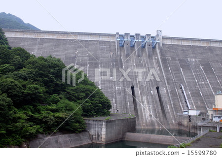 Plants dam 15599780