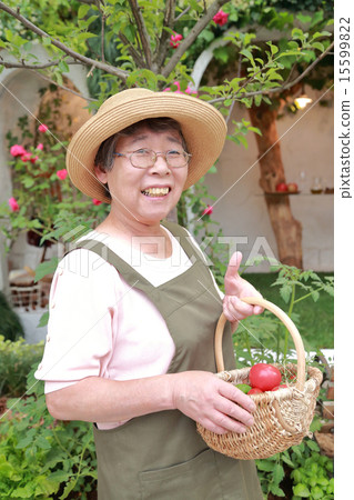 Hobby gardening Senior women Hobby gardening Senior women 15599822