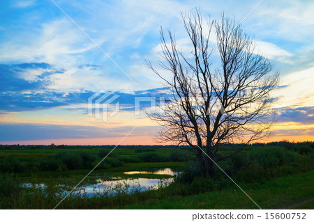 Sunset in the countryside 15600752